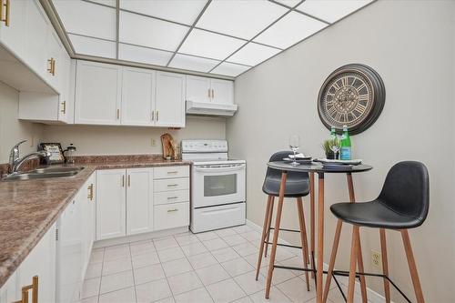 495 #8 Highway|Unit #106, Stoney Creek, ON - Indoor Photo Showing Kitchen With Double Sink