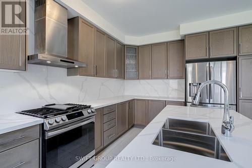 195 Great Falls Boulevard, Hamilton, ON - Indoor Photo Showing Kitchen With Upgraded Kitchen