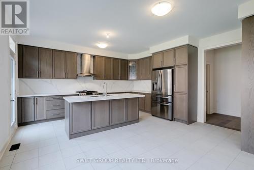 195 Great Falls Boulevard, Hamilton, ON - Indoor Photo Showing Kitchen