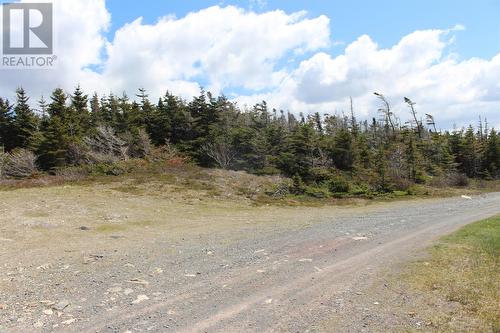 Lot 6 Bank Road, Cavendish, NL 