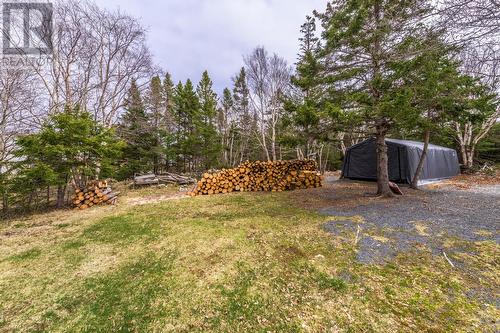 64 Main Road, Brownsdale, NL - Outdoor