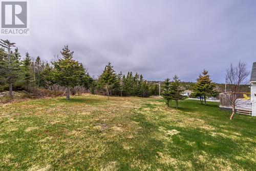 64 Main Road, Brownsdale, NL - Outdoor With View