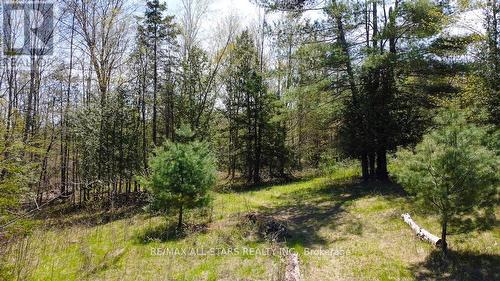 617 County Rd 47, Havelock-Belmont-Methuen, ON 