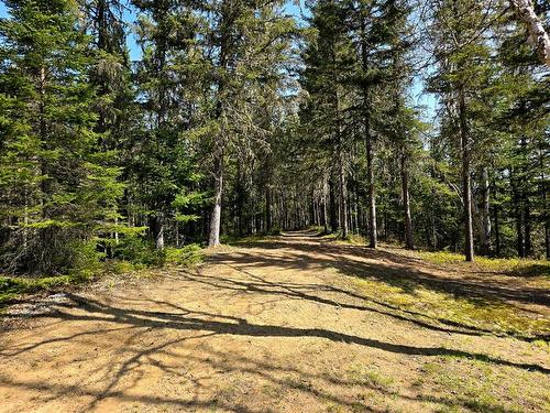 Land/Lot - 6126 Route De L'Ascension, Rivière-Rouge, QC - Outdoor With View