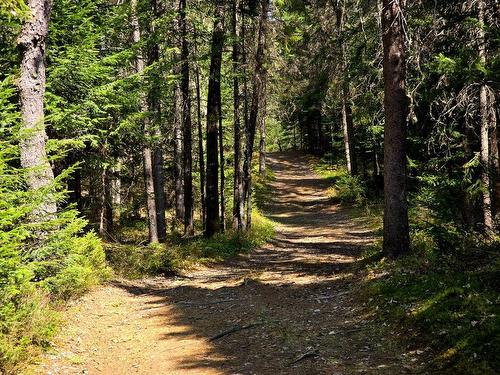 Land/Lot - 6126 Route De L'Ascension, Rivière-Rouge, QC - Outdoor With View