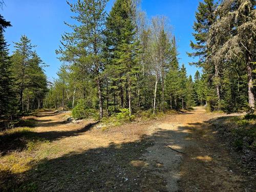 Land/Lot - 6126 Route De L'Ascension, Rivière-Rouge, QC - Outdoor With View