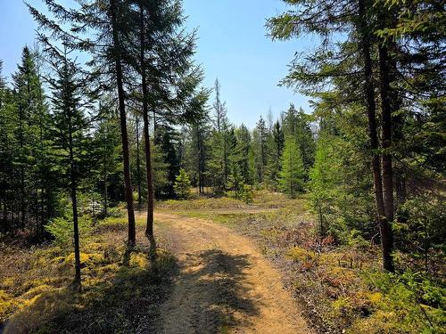 Land/Lot - 6126 Route De L'Ascension, Rivière-Rouge, QC - Outdoor With View