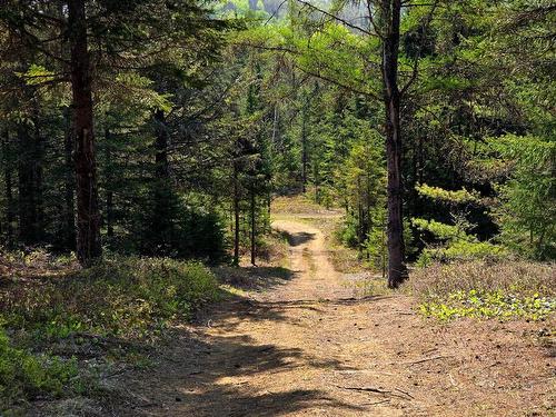 Land/Lot - 6126 Route De L'Ascension, Rivière-Rouge, QC - Outdoor With View