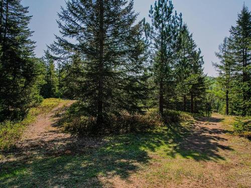 Land/Lot - 6126 Route De L'Ascension, Rivière-Rouge, QC - Outdoor With View