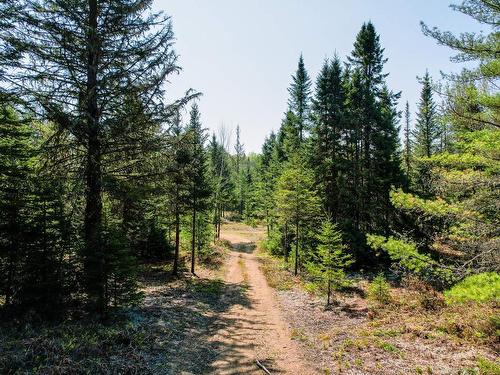 Land/Lot - 6126 Route De L'Ascension, Rivière-Rouge, QC - Outdoor With View