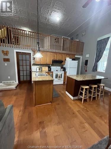 13107 Beechwood Line, Ridgetown, ON - Indoor Photo Showing Kitchen