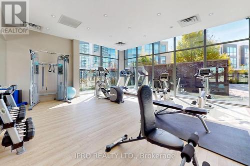 3 - 90 Little Creek Road, Mississauga, ON - Indoor Photo Showing Gym Room