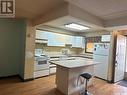 102 455 Pendygrasse Road, Saskatoon, SK  - Indoor Photo Showing Kitchen With Double Sink 