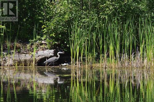 3222 Beaver Valley Road, Horsefly, BC - Outdoor With View