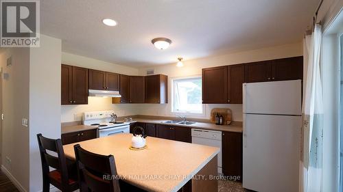 179 Westpoint Sands Road, Huntsville, ON - Indoor Photo Showing Kitchen With Double Sink