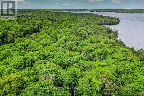 0 Grandview Lake Road, Lake Of Bays, ON 