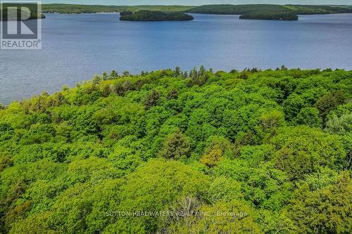 0 Grandview Lake Road, Lake Of Bays, ON 