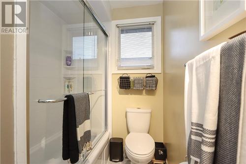 1447 Christina Drive, Sudbury, ON - Indoor Photo Showing Bathroom