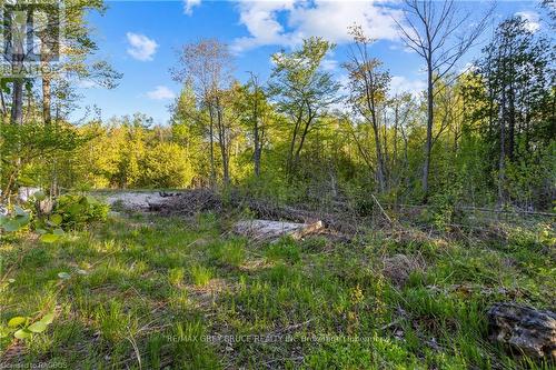 71 Maple Drive, Northern Bruce Peninsula, ON 