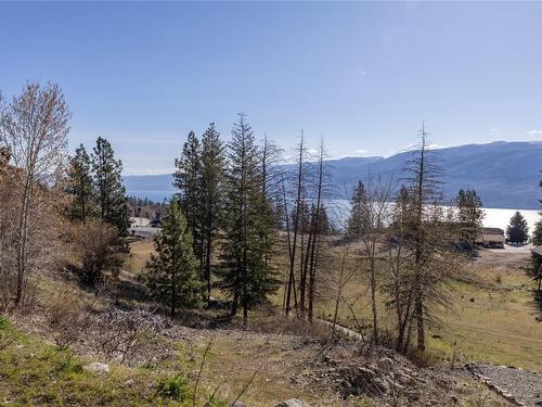 4623 Ponderosa Drive, Peachland, BC - Outdoor With View