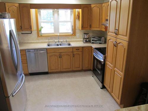 476345 3Rd. Line, Melancthon, ON - Indoor Photo Showing Kitchen With Double Sink