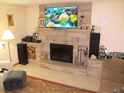 476345 3Rd. Line, Melancthon, ON - Indoor Photo Showing Living Room With Fireplace