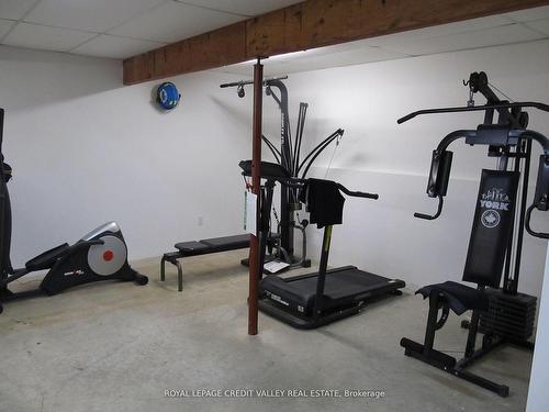 476345 3Rd. Line, Melancthon, ON - Indoor Photo Showing Gym Room