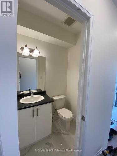 24 Molnar Crescent, Brantford, ON - Indoor Photo Showing Bathroom