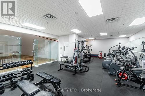 715 - 250 Manitoba Street, Toronto, ON - Indoor Photo Showing Gym Room