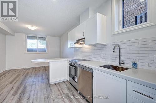 8A - 164 Heiman Street, Kitchener, ON - Indoor Photo Showing Kitchen With Upgraded Kitchen