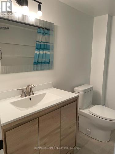 256 Stone Bsmt Road, Aurora, ON - Indoor Photo Showing Bathroom