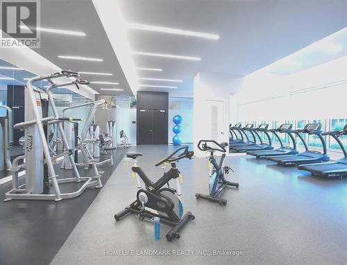 905 - 101 Erskine Avenue E, Toronto, ON - Indoor Photo Showing Gym Room
