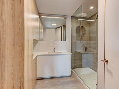 Ensuite bathroom - 514-1320 Rue Olier, Montréal (Le Sud-Ouest), QC - Indoor Photo Showing Bathroom