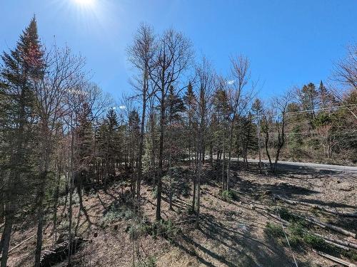 Terre/Terrain - Ch. Masson, Sainte-Marguerite-Du-Lac-Masson, QC 