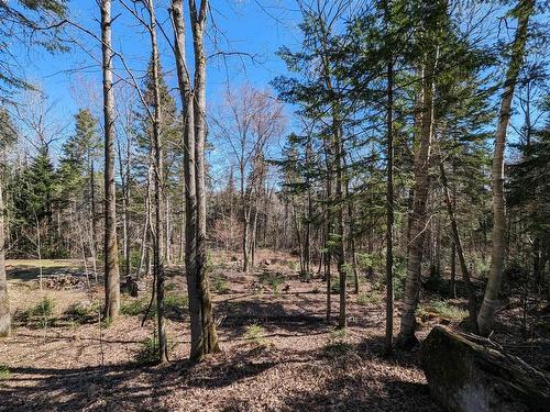 Land/Lot - Ch. Masson, Sainte-Marguerite-Du-Lac-Masson, QC 