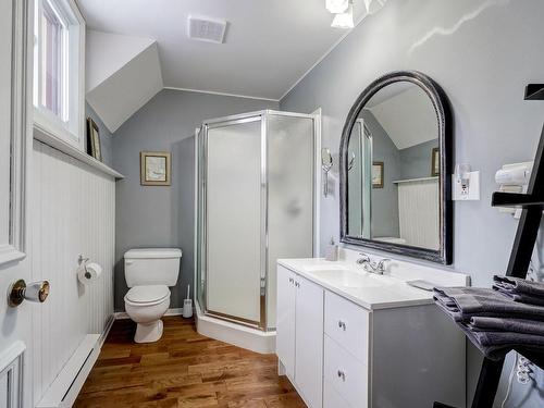 Bathroom - 1196 Rue De La Pisciculture, Mont-Blanc, QC - Indoor Photo Showing Bathroom