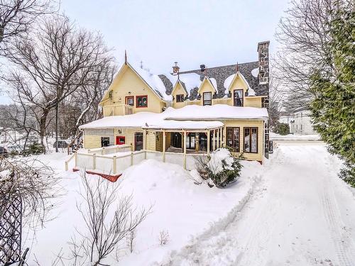 Backyard - 1196 Rue De La Pisciculture, Mont-Blanc, QC - Outdoor With Facade