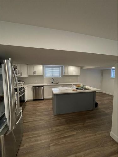 176 Queensdale Avenue|Unit #Lower, Hamilton, ON - Indoor Photo Showing Kitchen