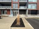 38 Harbour Street|Unit #206, Port Dover, ON  - Outdoor With Balcony With Facade 