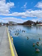 take a stroll along the boardwalk - 