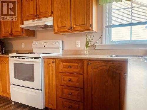 507A Main Street, Bishop'S Falls, NL - Indoor Photo Showing Kitchen With Double Sink
