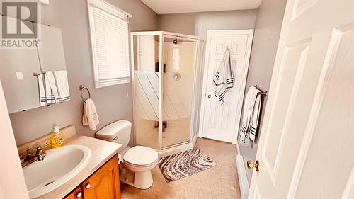 507A Main Street, Bishop'S Falls, NL - Indoor Photo Showing Bathroom