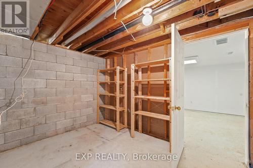 27 South River Road, Georgina, ON - Indoor Photo Showing Basement