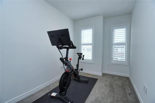 36 Radison Lane, Hamilton, ON - Indoor Photo Showing Gym Room