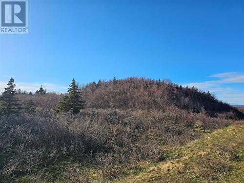 1 Tch Highway, Mcdougall'S, NL 