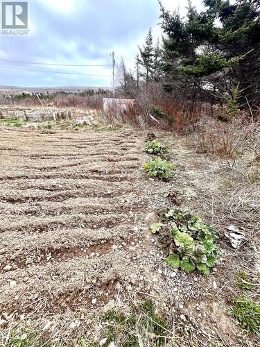 18 Lamaline Road, Fortune, NL - Outdoor With View