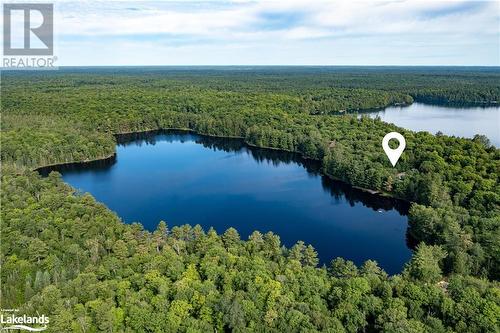 1105 S Clear Lake Road, Bracebridge, ON - Outdoor With Body Of Water With View