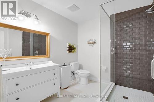 2105 Springridge Drive, London, ON - Indoor Photo Showing Bathroom