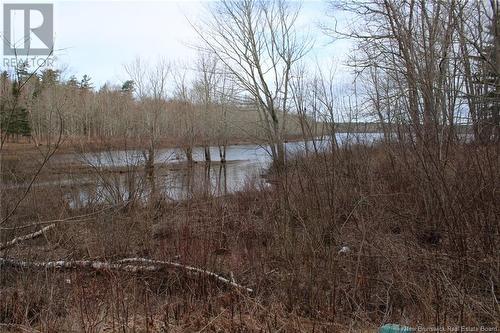 1768 Waterside Drive, Cambridge-Narrows, NB - Outdoor With View