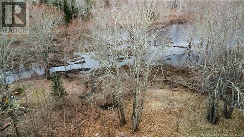 1768 Waterside Drive, Cambridge-Narrows, NB - Outdoor With View